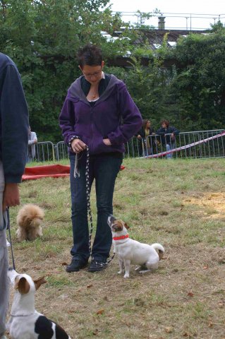foire-haricots 2011-09-17et18
